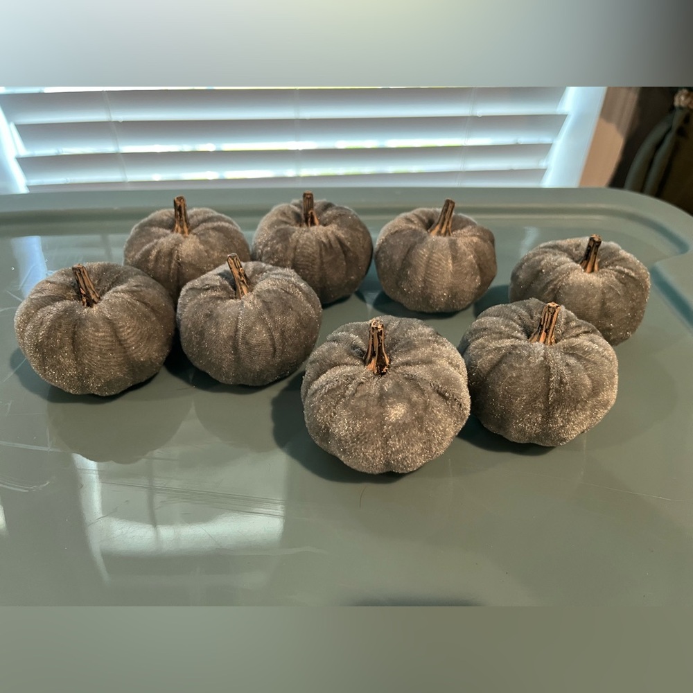 Gray Velvet Pumpkins Set